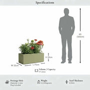 75cm Zinc Galvanised Sage Green Trough Planter